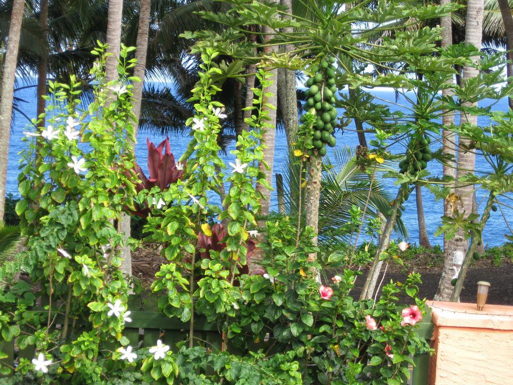 Oceanfront Cottage Near The Kalapana Lava Flows Kehena Bilik gambar