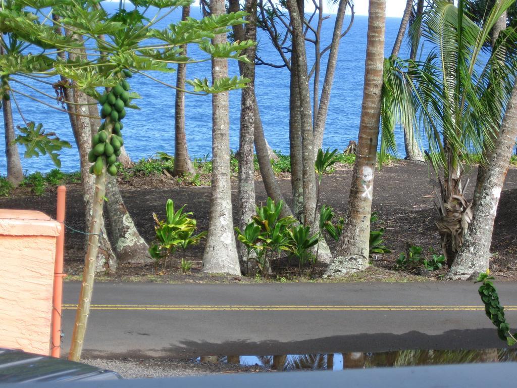 Oceanfront Cottage Near The Kalapana Lava Flows Kehena Bilik gambar