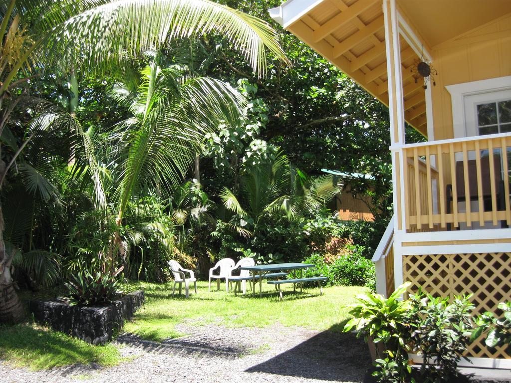 Oceanfront Cottage Near The Kalapana Lava Flows Kehena Bilik gambar