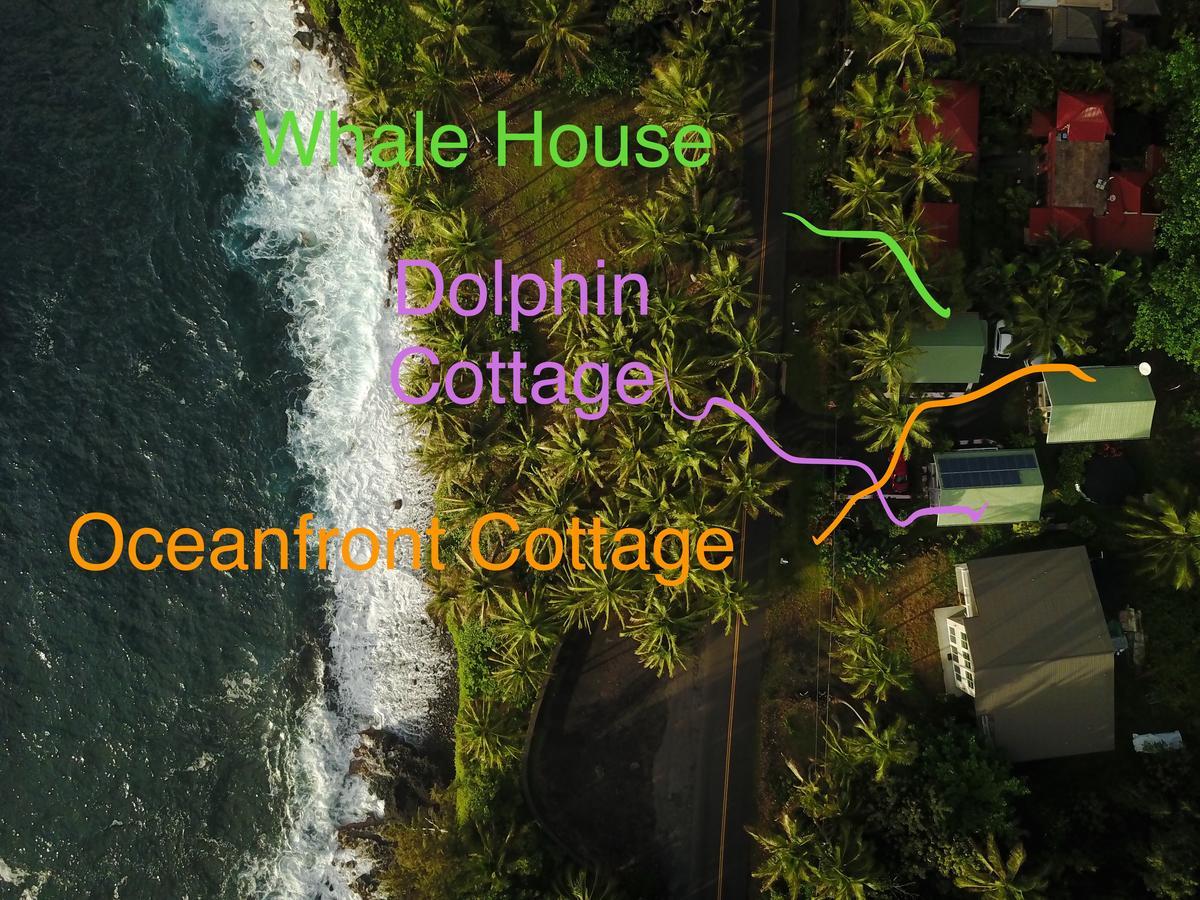 Oceanfront Cottage Near The Kalapana Lava Flows Kehena Luaran gambar